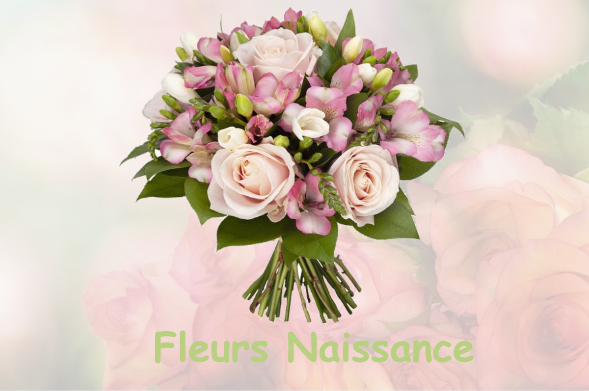 fleurs naissance DRUDAS