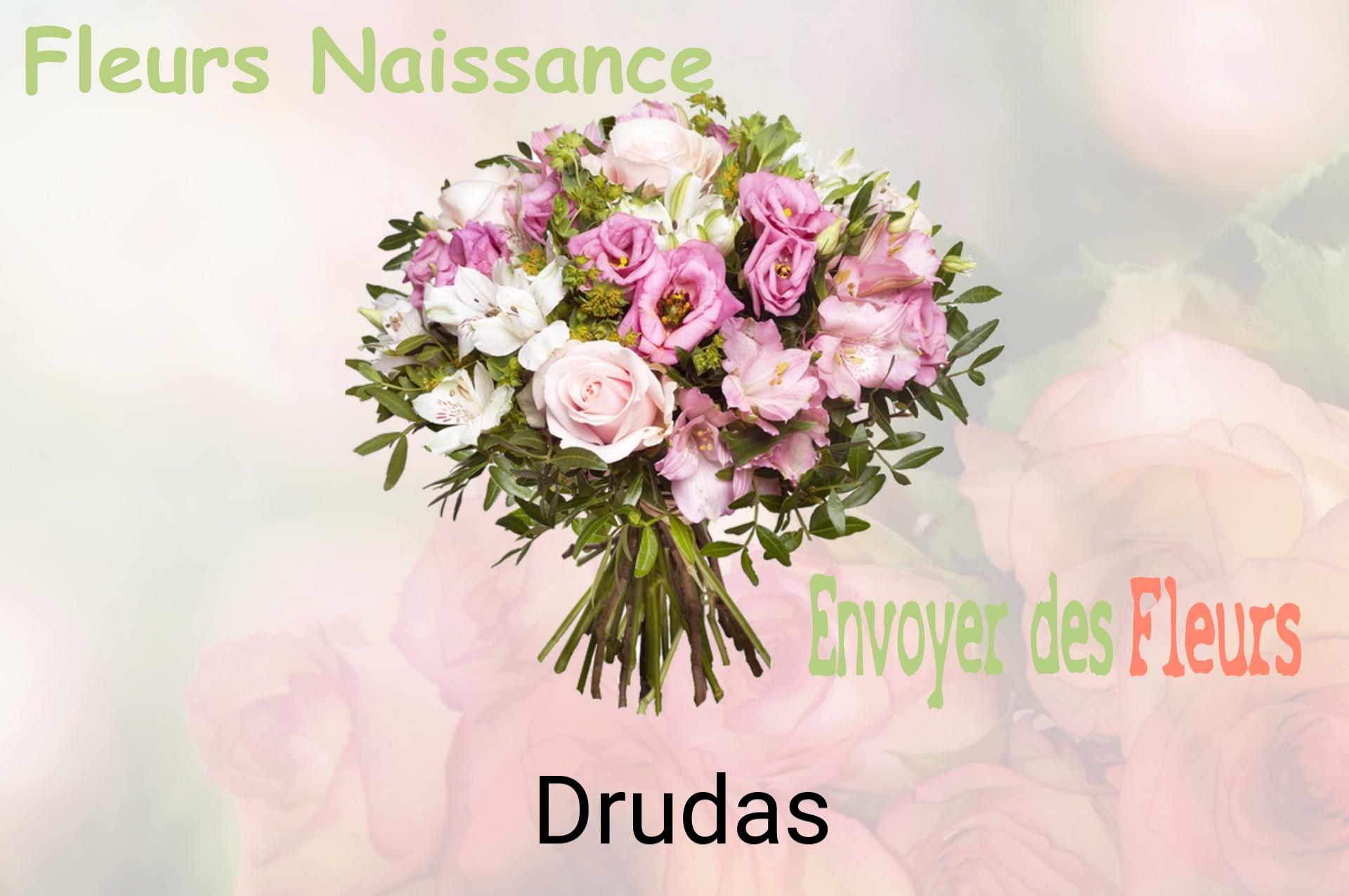 Bouquet de fleurs de naissance livré à Drudas