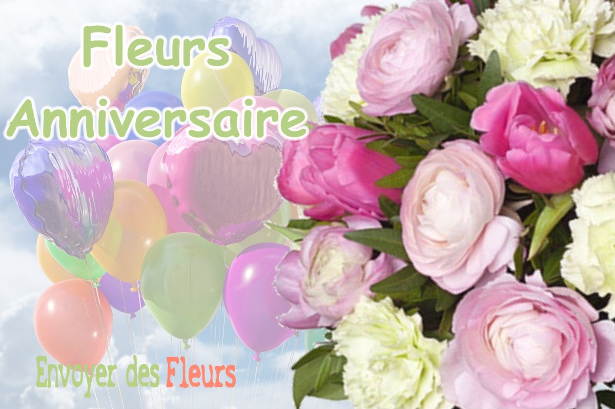 lIVRAISON FLEURS ANNIVERSAIRE à DRUDAS