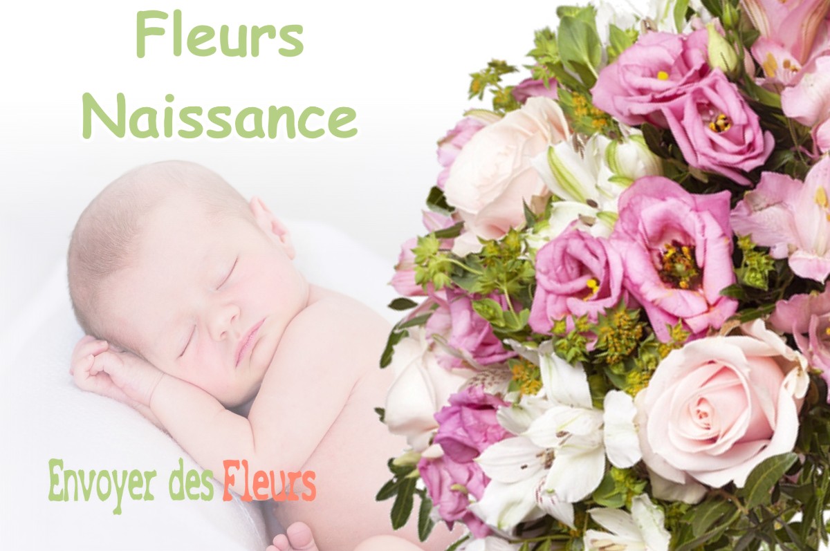 lIVRAISON FLEURS NAISSANCE à DRUDAS